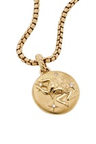 Taurus Zodiac Amulet